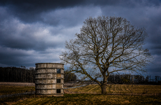 A Farmer`s Landscape