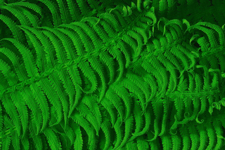 Начало весны