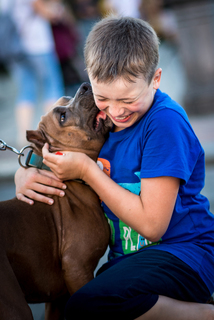 Искренность