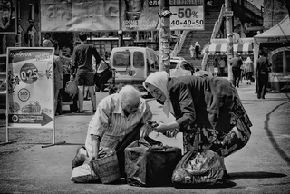 Курчат по осені рахують