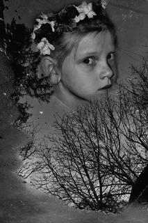 Відображення