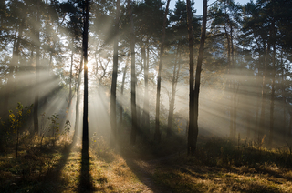 Осінні промені