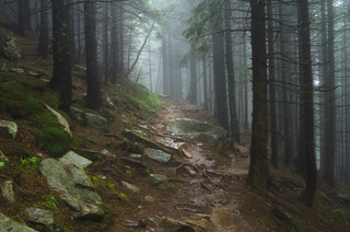 Кам'яна стежка