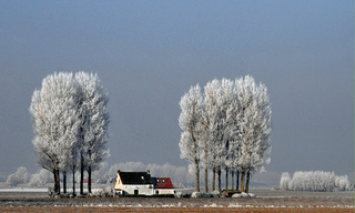 Winterochtend
