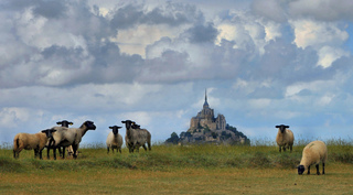 Mont St Michellandschap