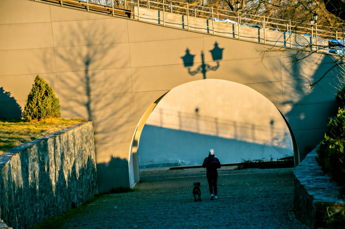 Утренняя прогулка