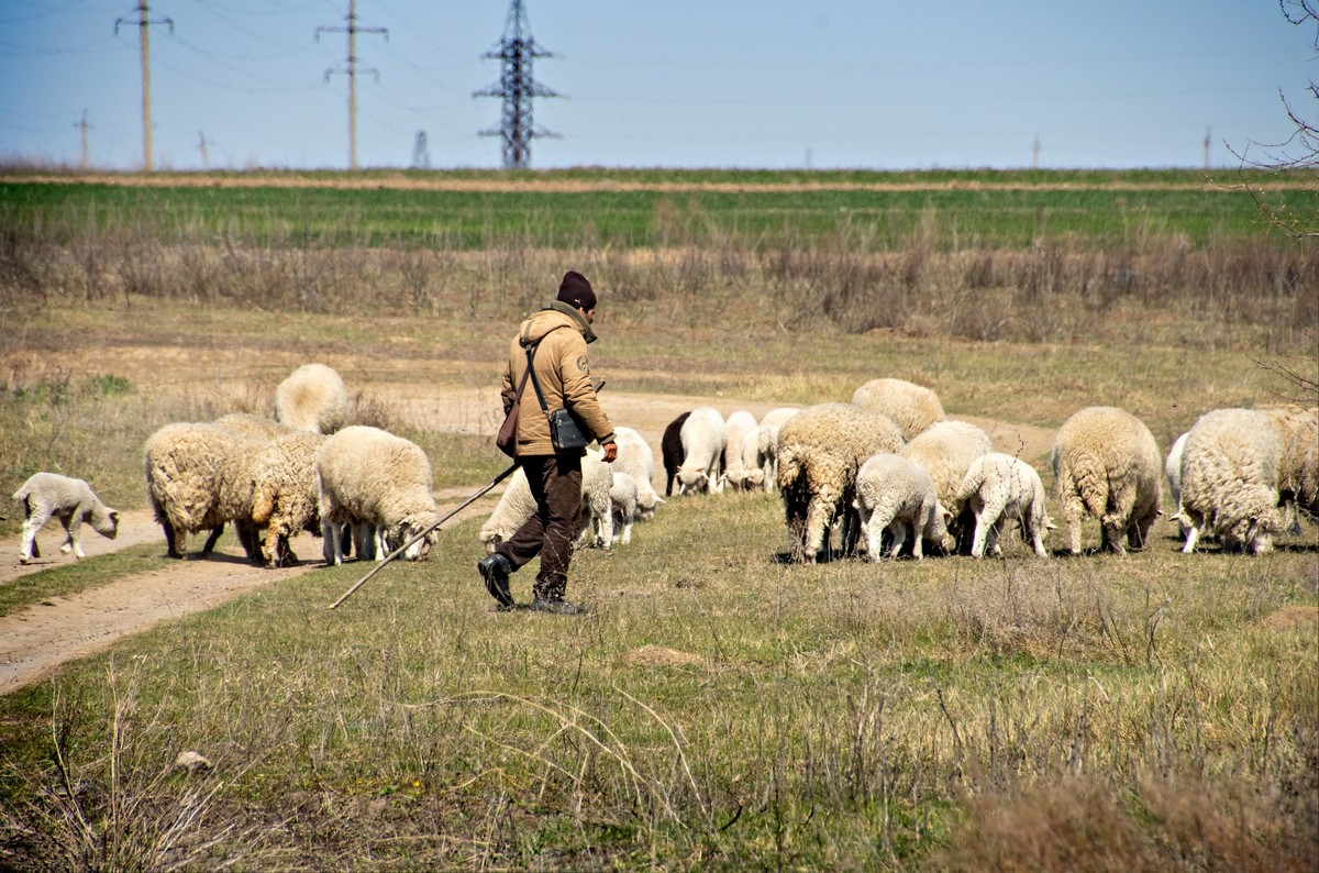 Сельские будни_02