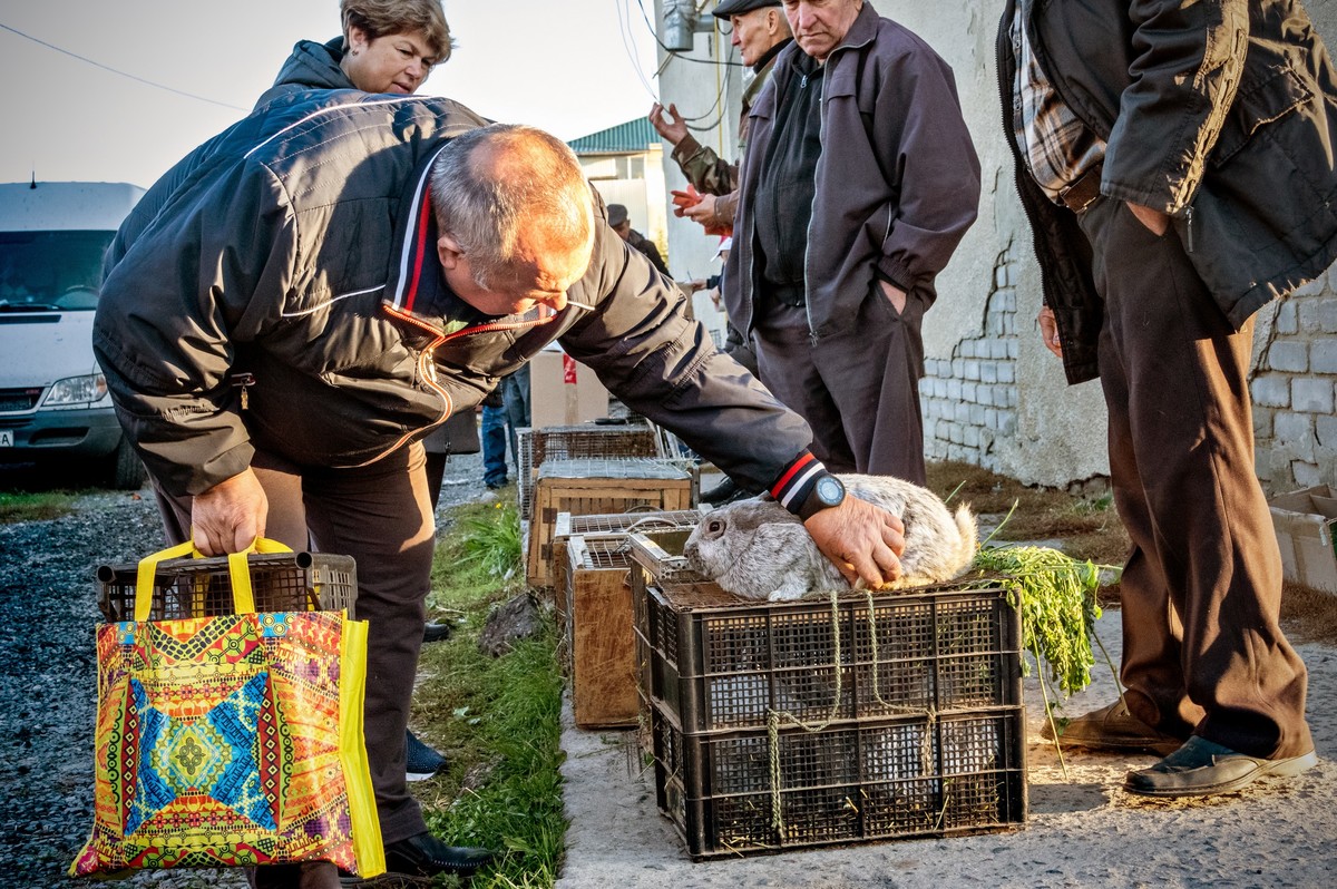 Сельские будни_04