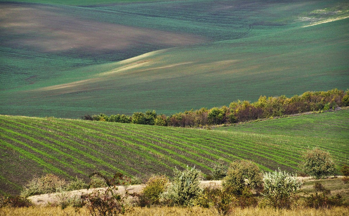Ландшафты Одесчины