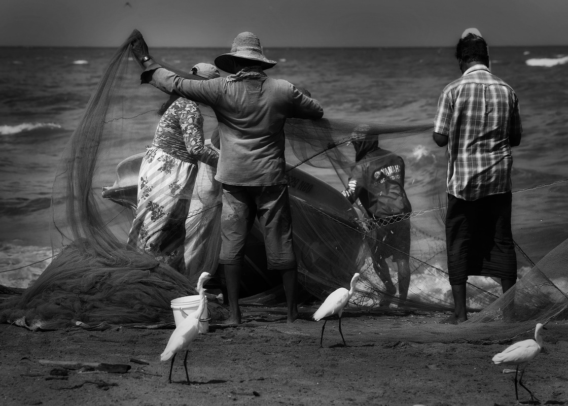 I have taken this picture in Negombo fishing beach as well as these guys are so busy from the morning to afternoon or evening. 