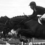 JUMPING COMPETITION_003