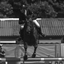 JUMPING COMPETITION_006