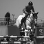 JUMPING COMPETITION_008