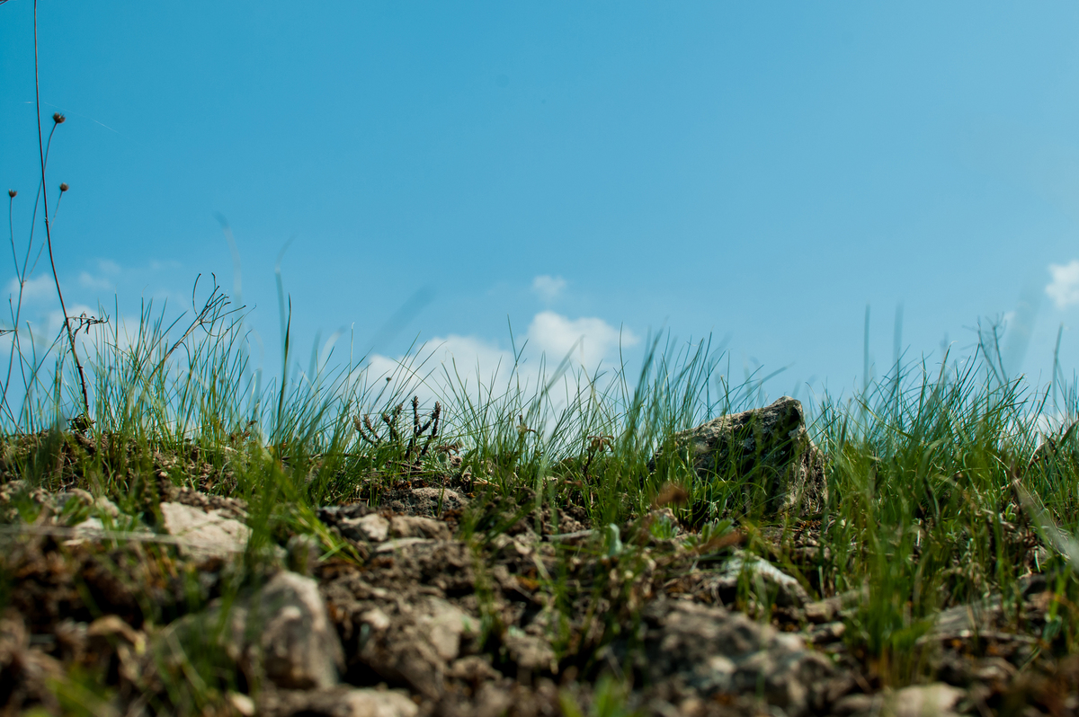 Іванградський степ 1