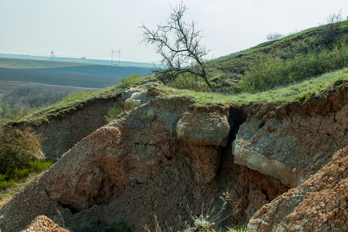 Іванградський степ 2