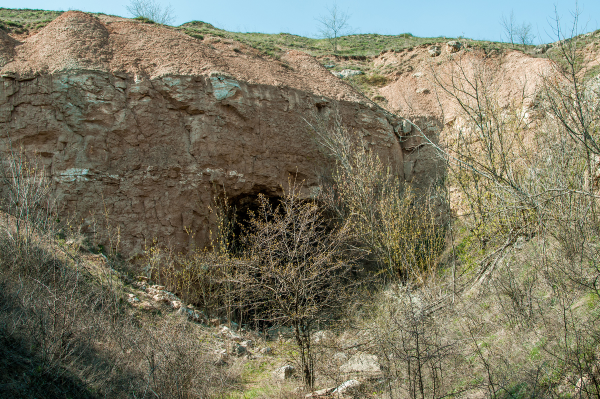 Іванградський степ 3