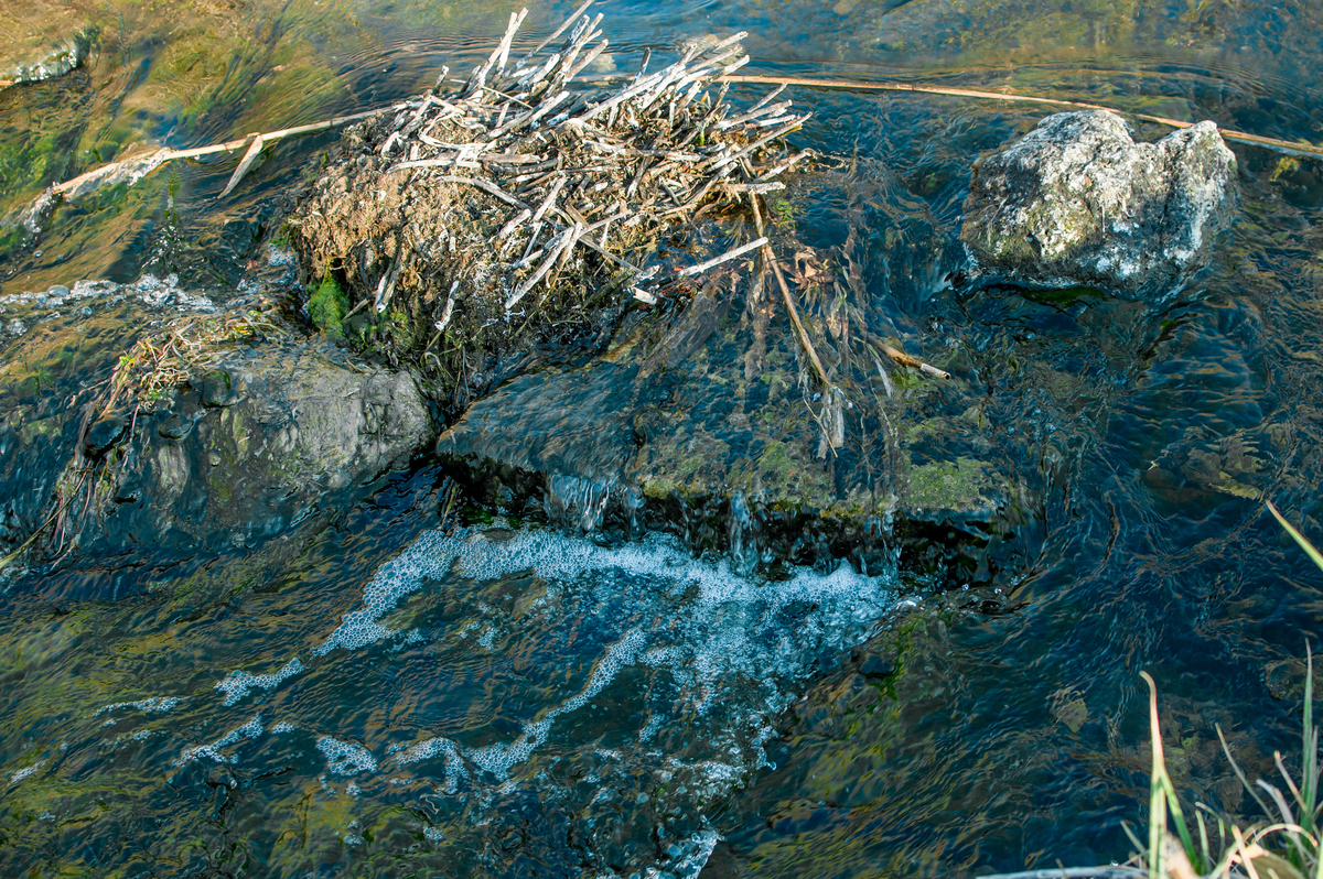 Іванградський степ 5