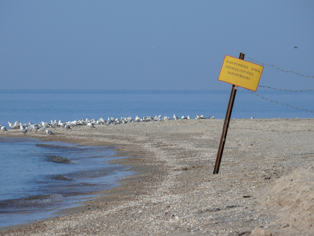 Тетяна Петрушкіна / Війна і море очима туриста 1