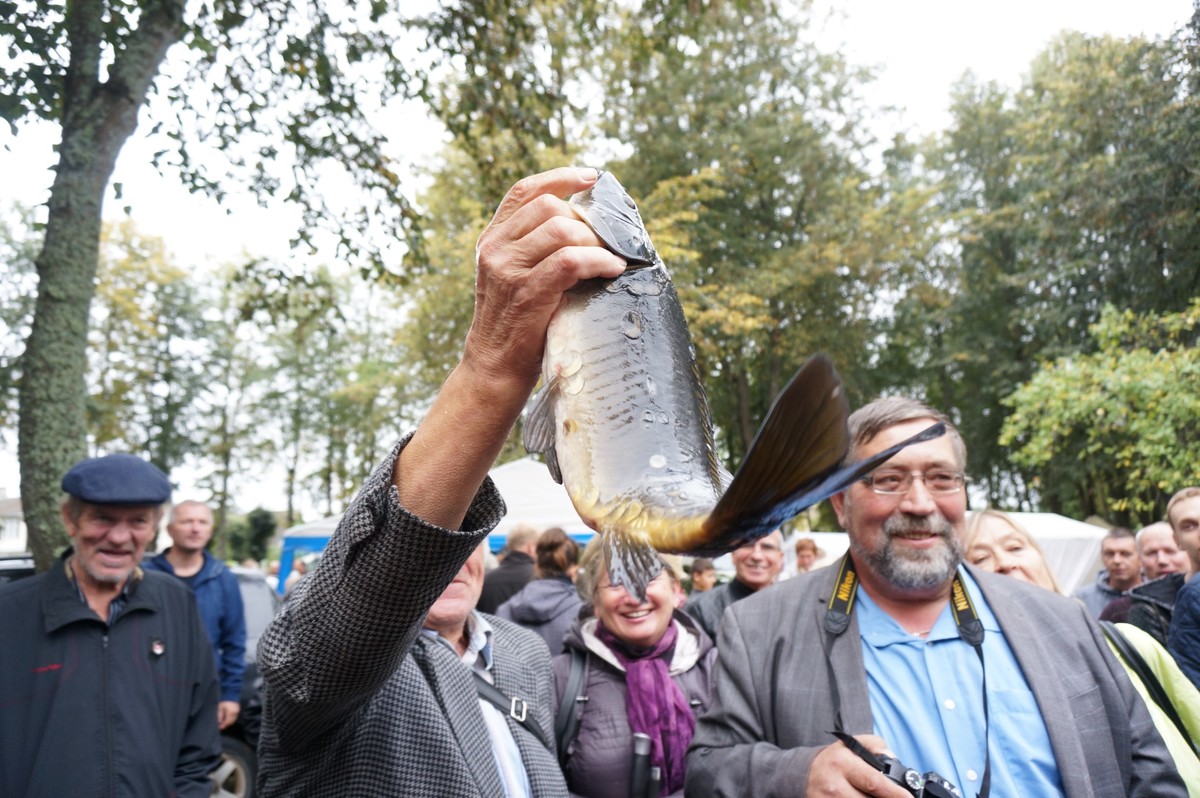 Ловля рыбы вручную - 1