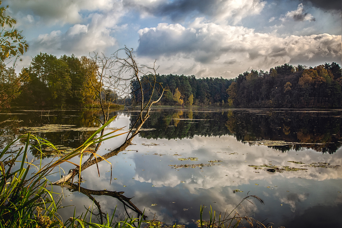 Гармонія природи