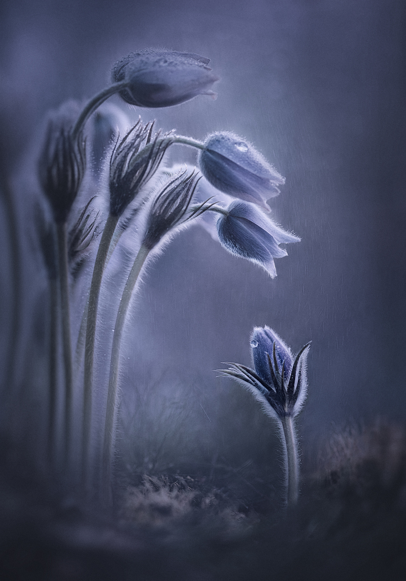 Ты куда?...туда где весна!