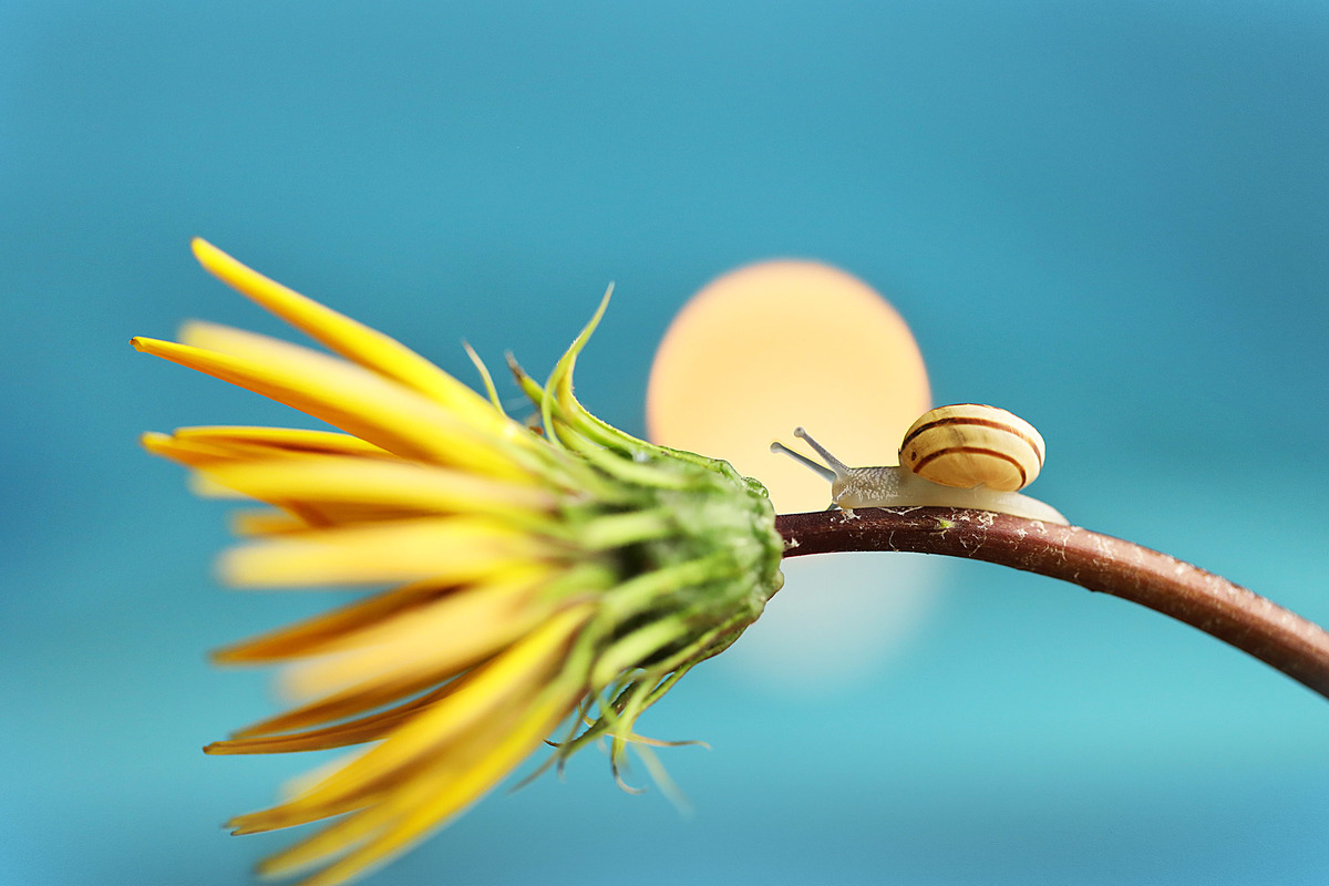 Hа сході сонця