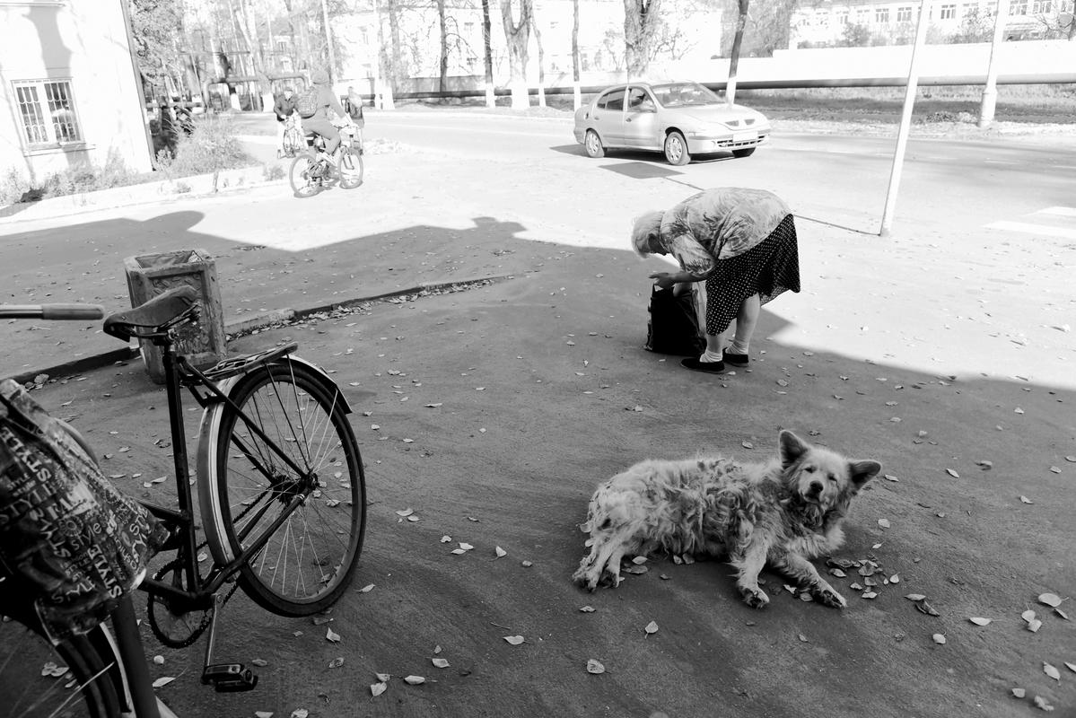 Сентябрьский денёк