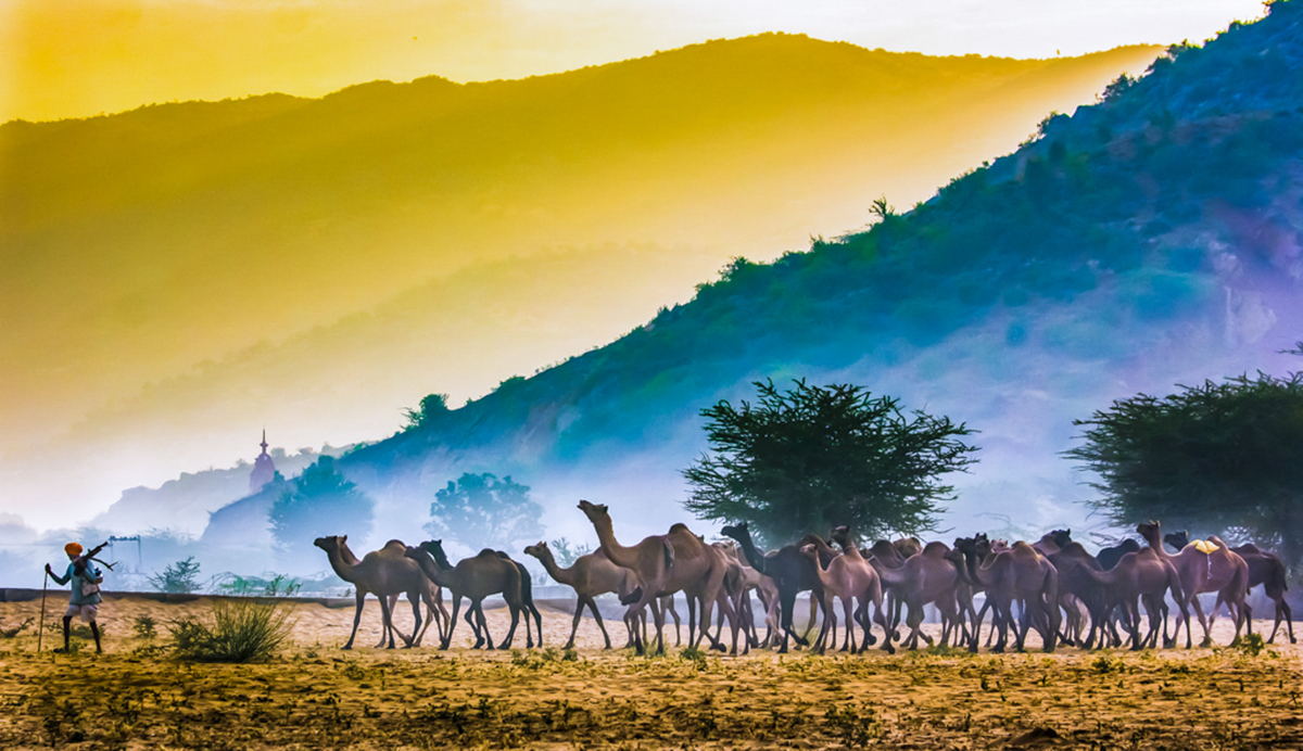 Towards the Fair Ground