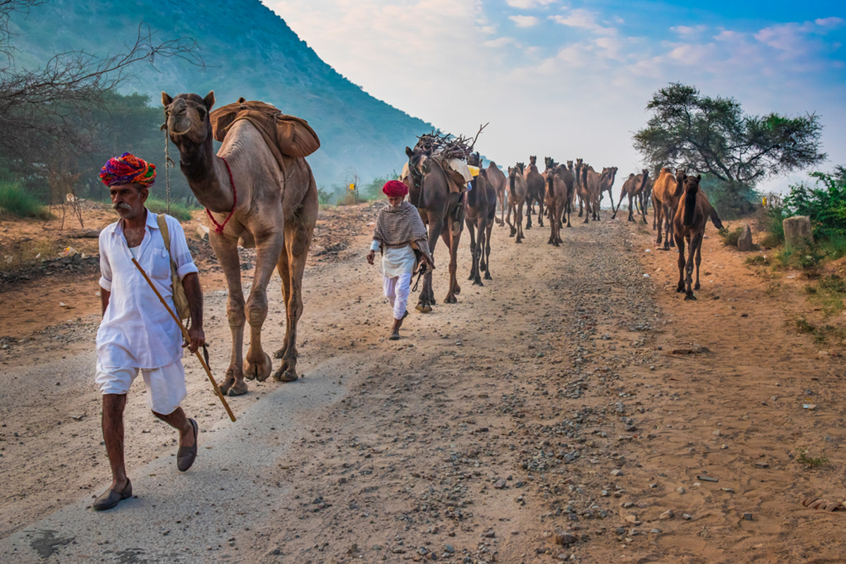 March Towards Fair Ground