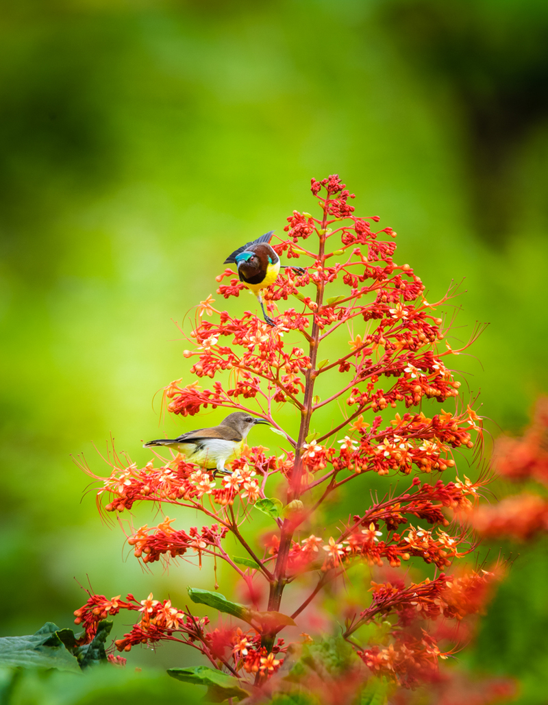 I will be back Partner