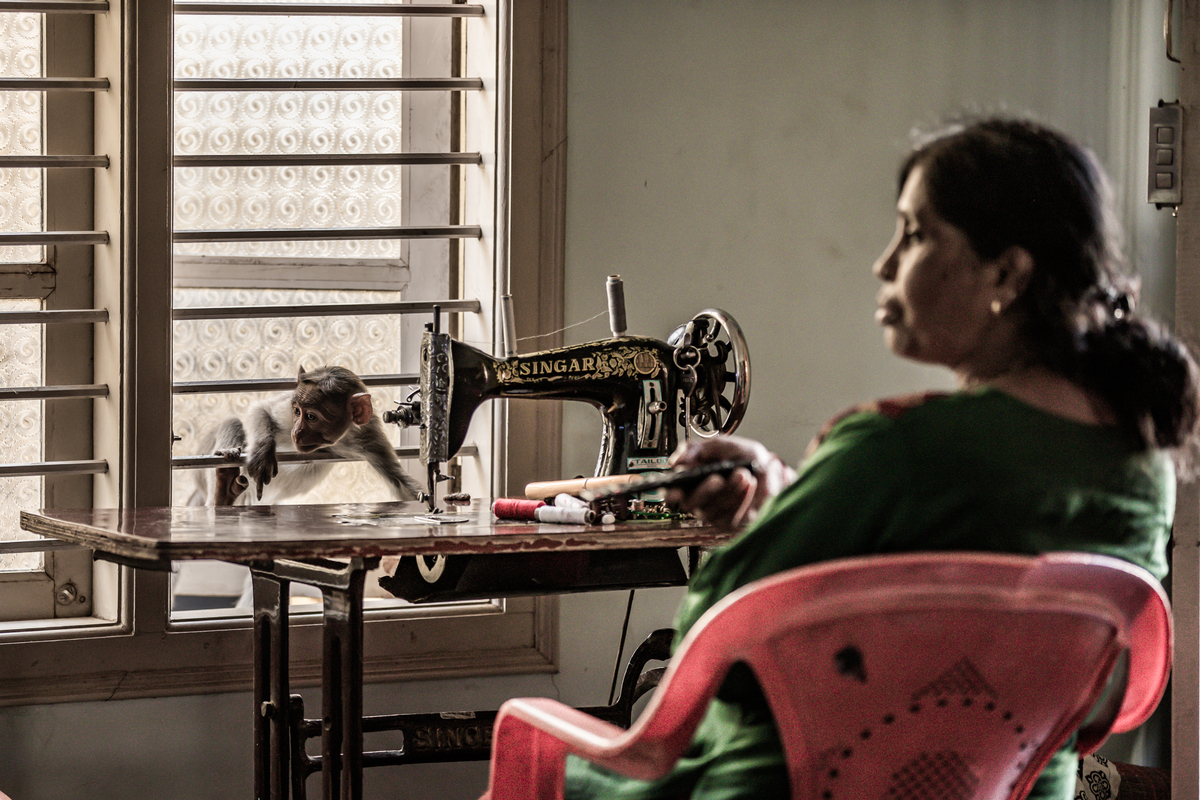 A guest through window