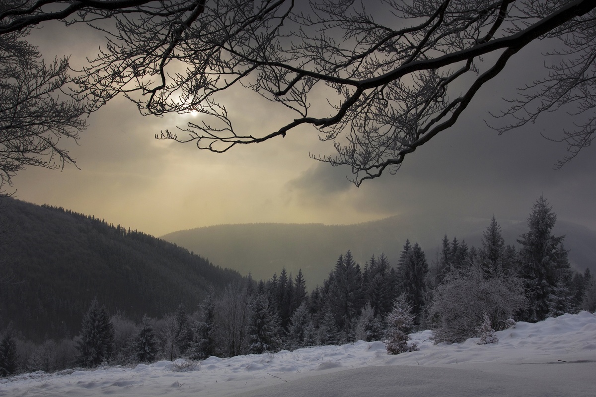 Frosty winter morning