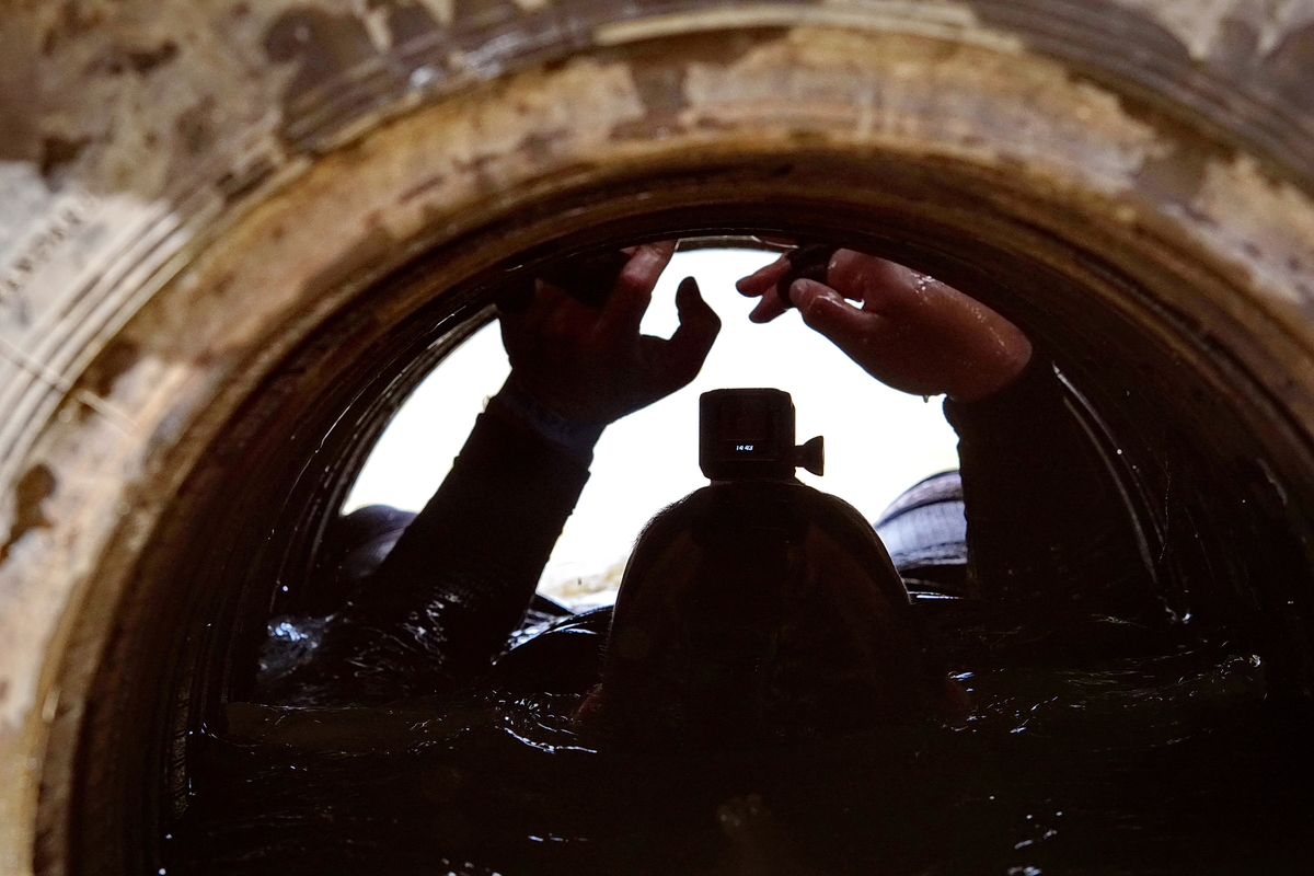 Особосложное