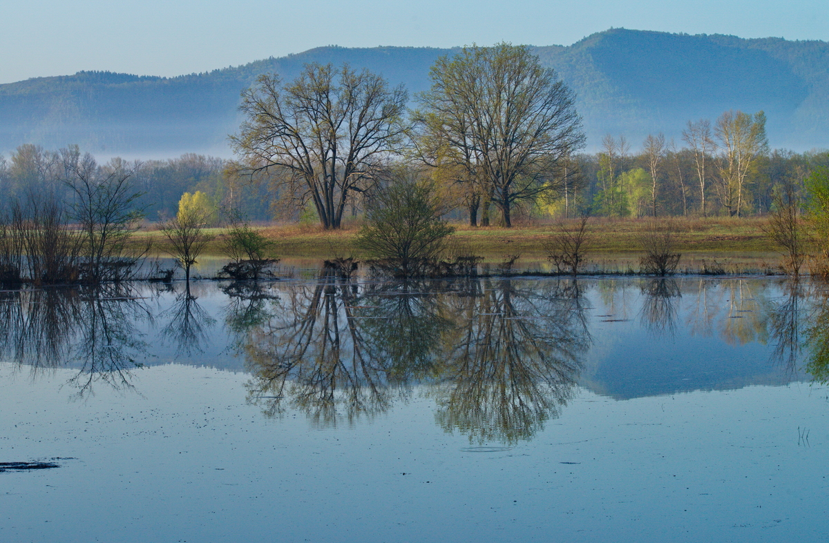 Федоровские луга