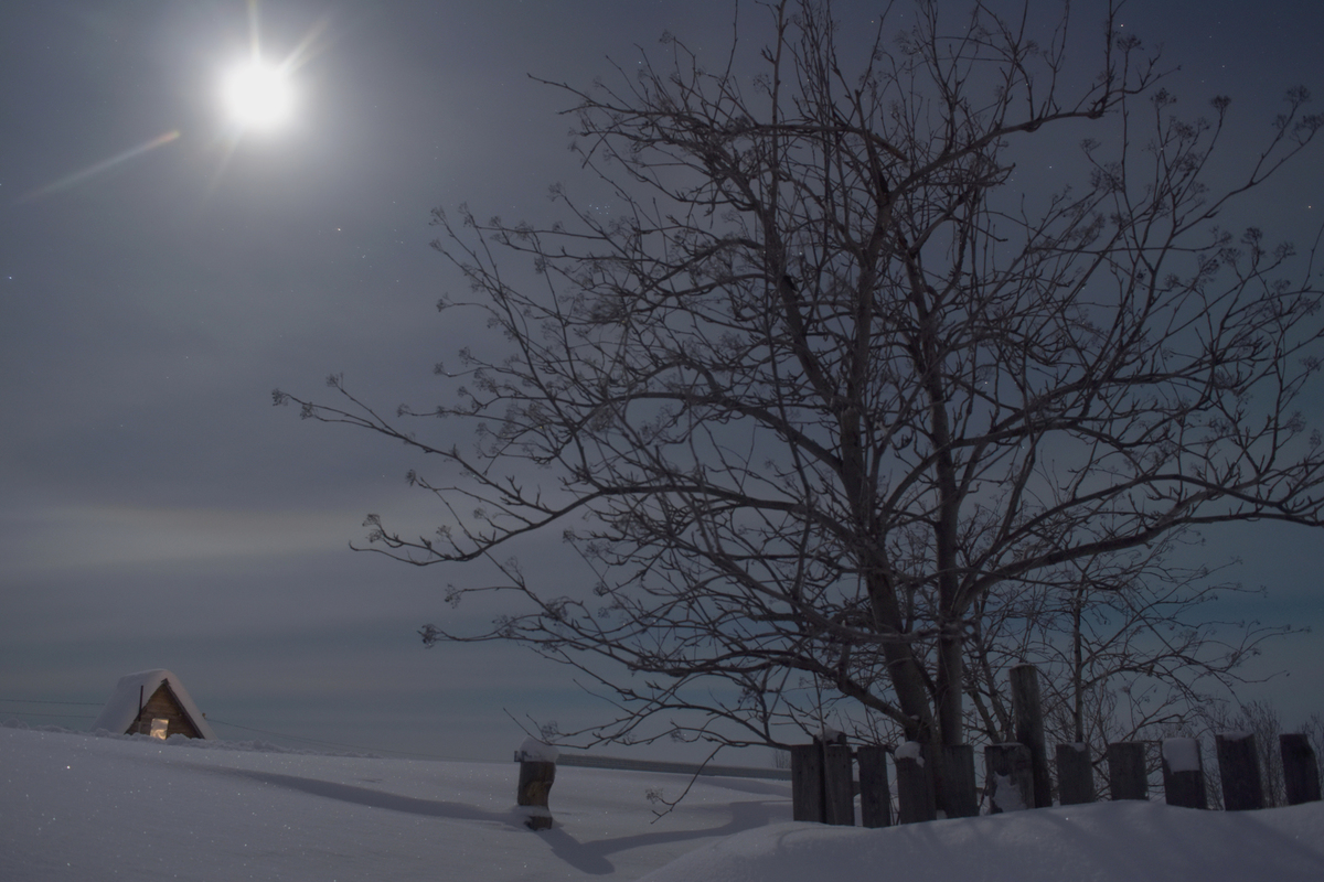 Лунная ночь