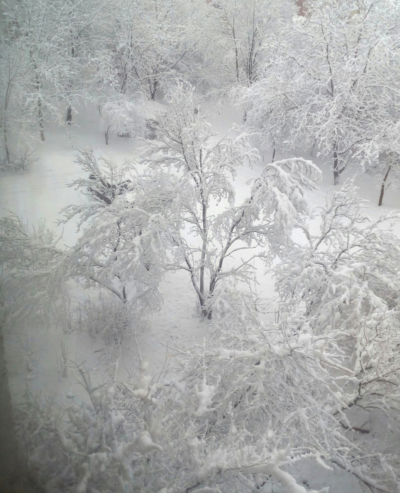 Мобільна зима