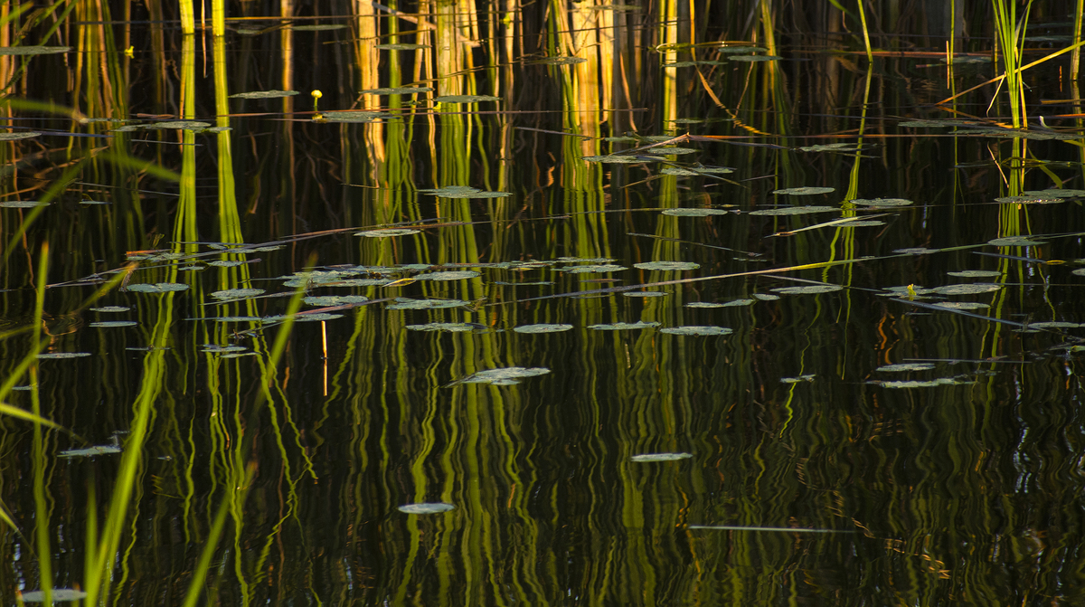Відображення