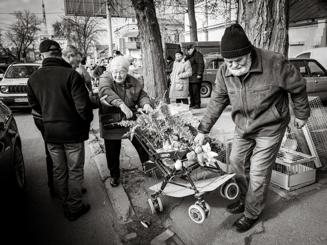 староконка 4