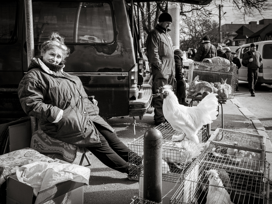 староконка 5