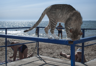 Утро в Лузановке
