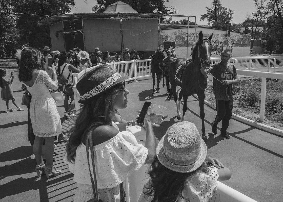 На ипподроме