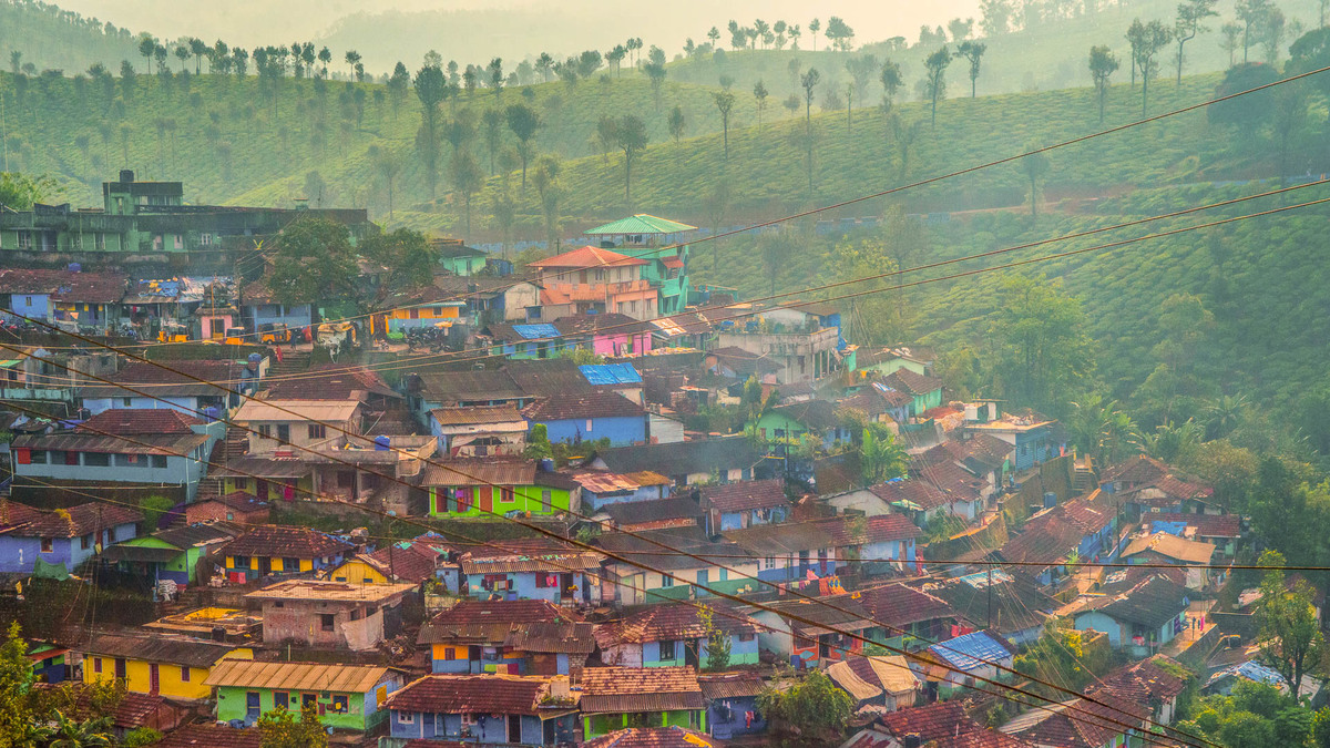 Houses in Tea Estates
