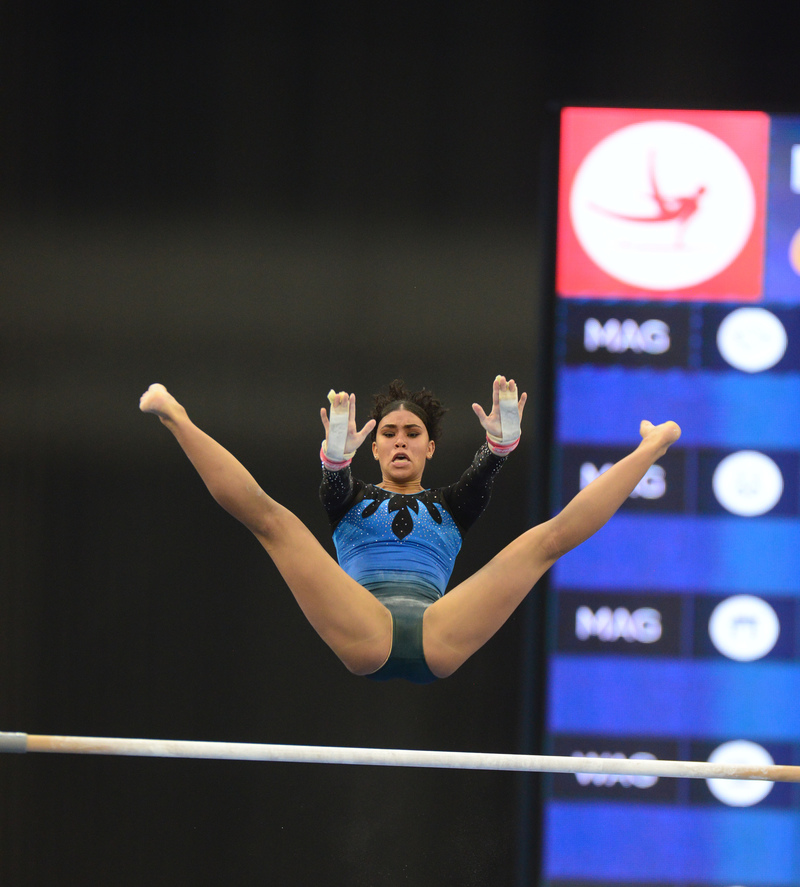 спортивный  гимнаст 1