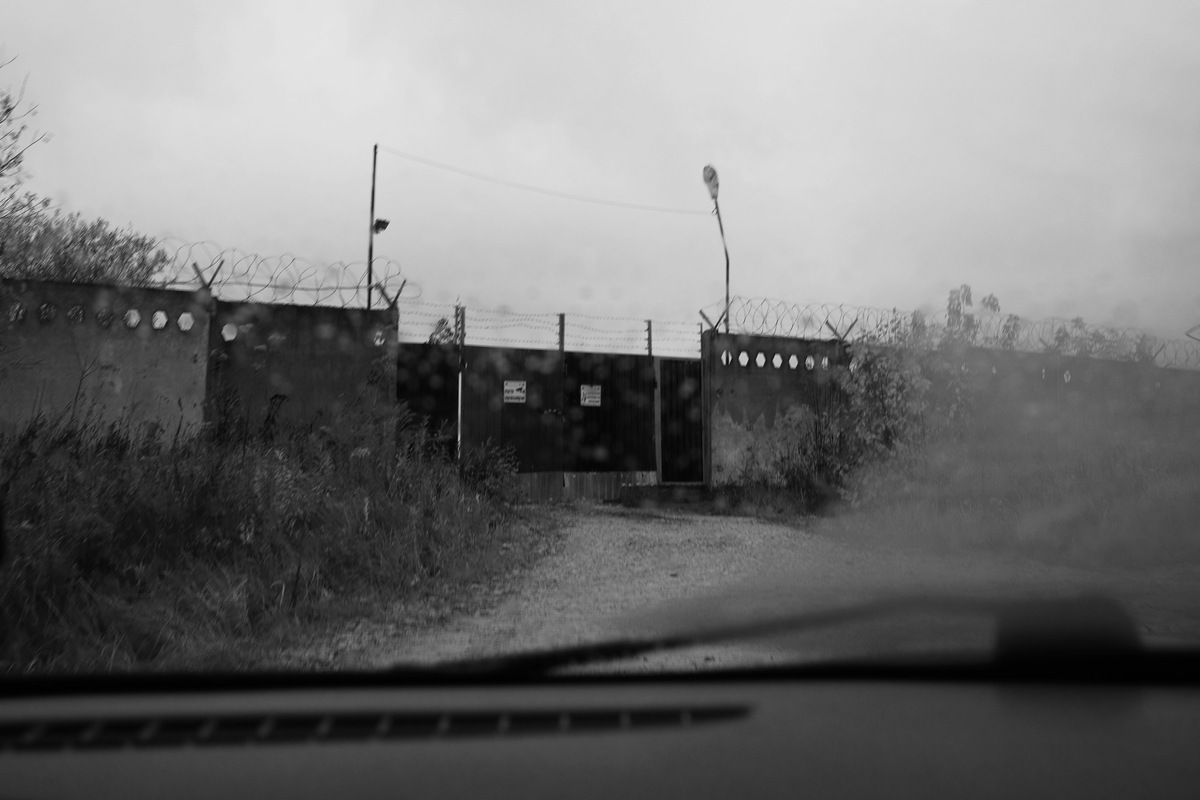 Верные друзья