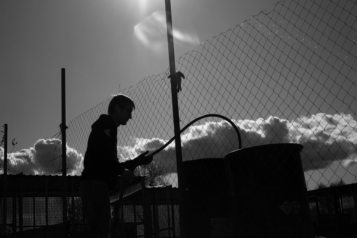 Верные друзья