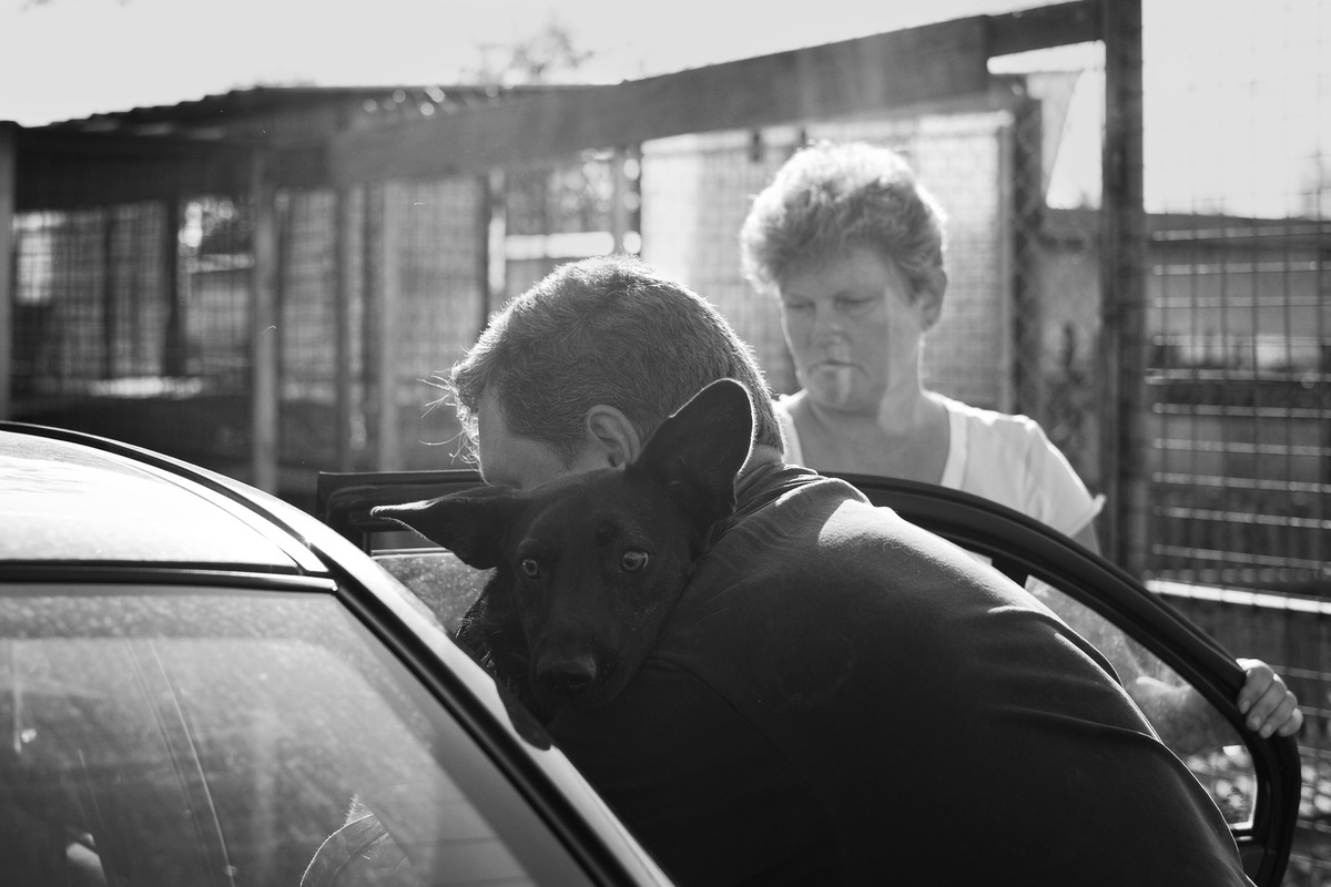 Верные друзья