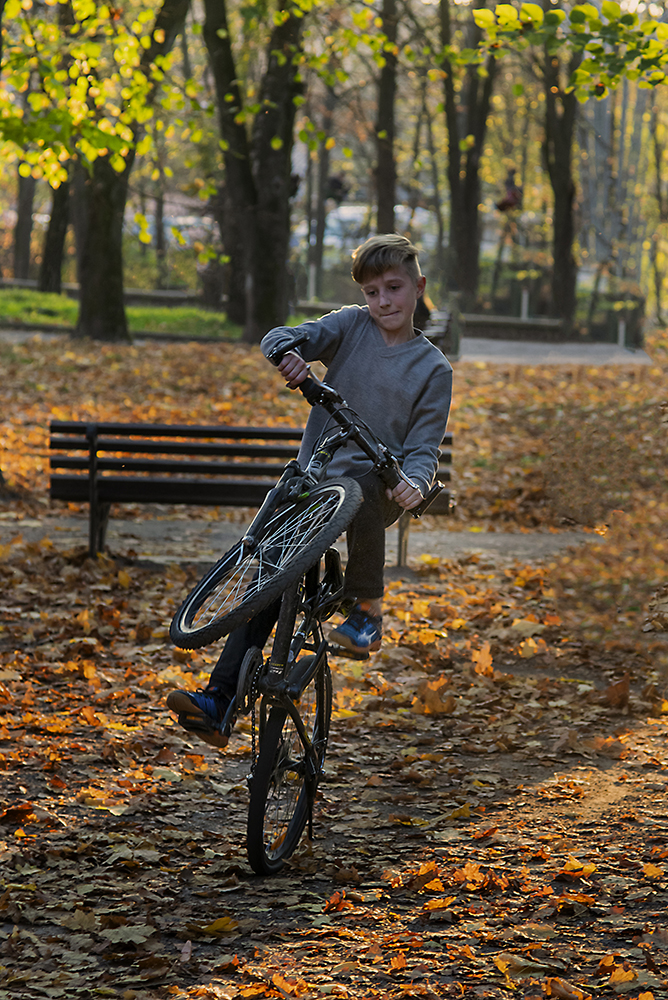 залізний кінь