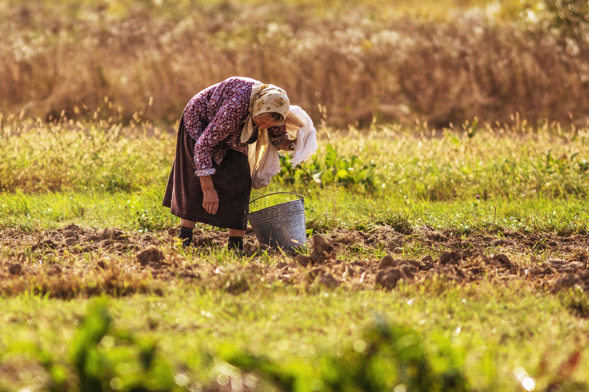 За прибраним городом