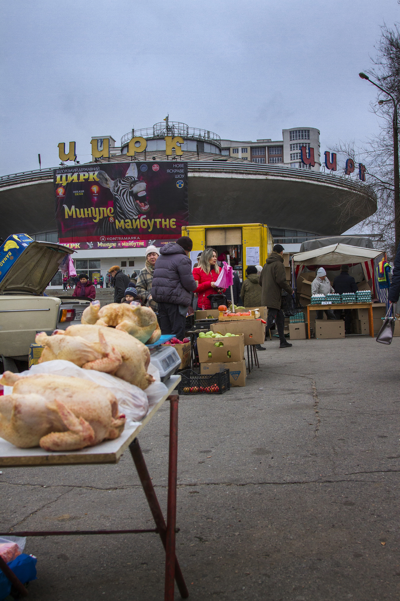 Артистов цирка не получилось