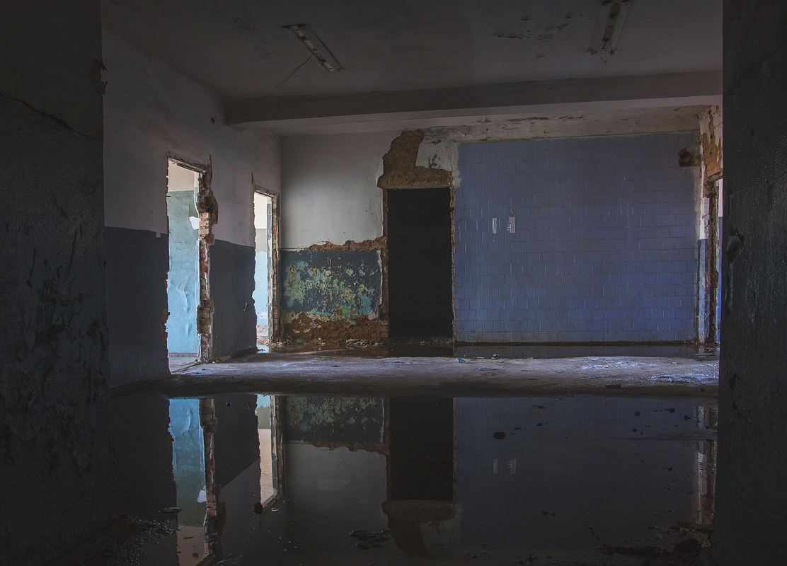 Тіні соціалізму